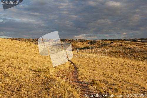 Image of sunrise over Colorado prairie