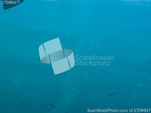 Image of Water background