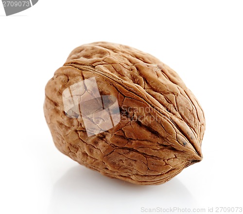 Image of walnut macro