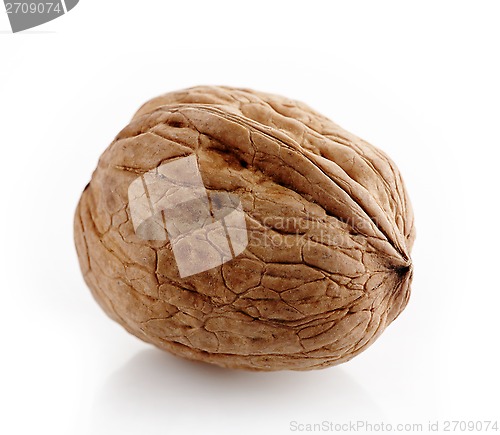 Image of walnut macro