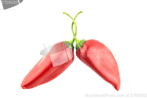 Image of hot chili pepper