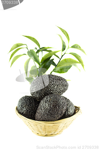 Image of Black Ripe Avocados