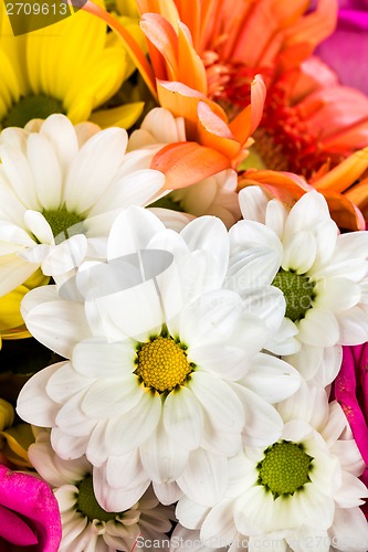 Image of Flowers closeup