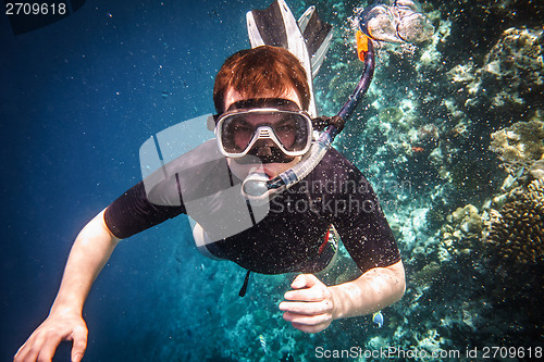 Image of Snorkeler