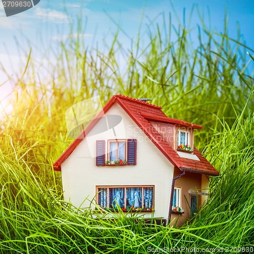 Image of House on the green grass