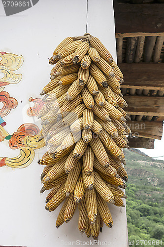 Image of Dry corns