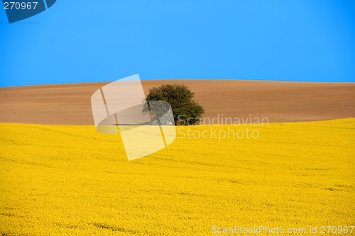 Image of Rural scenic landscape