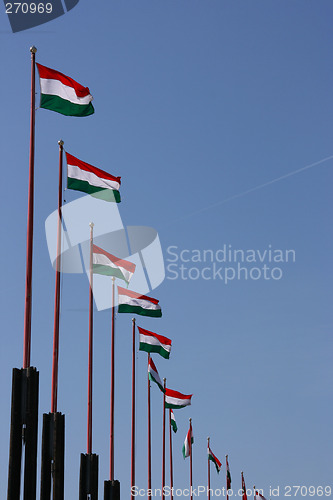 Image of Row of Hungarian flags