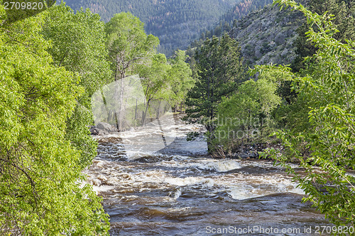 Image of river rapid in springtime