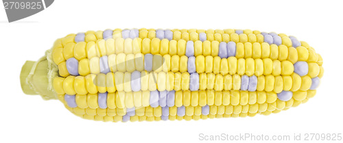 Image of Corn