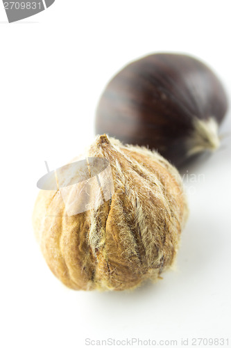 Image of Sweet chestnuts