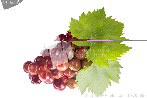 Image of Ripe grapes with leaf