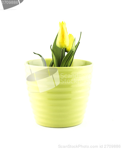 Image of pottery flowerpot