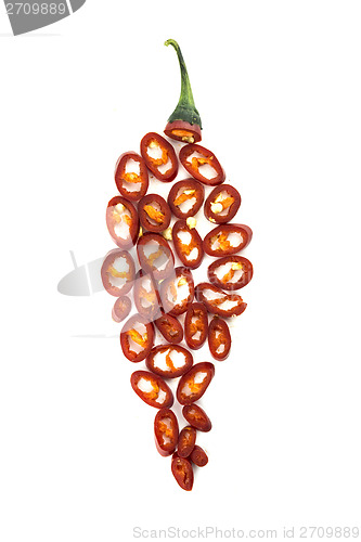 Image of hot chili pepper