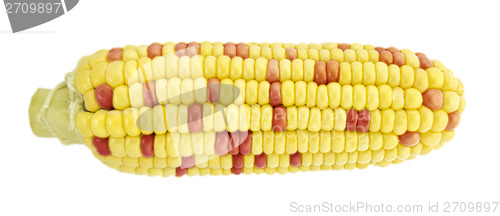 Image of Corn