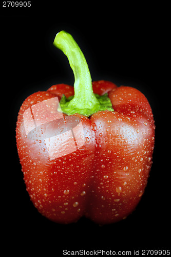 Image of Red sweet pepper 