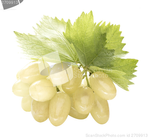 Image of Ripe grapes with leaf
