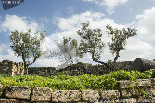 Image of Umm Qais City