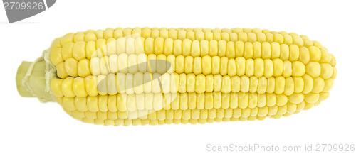 Image of Corn