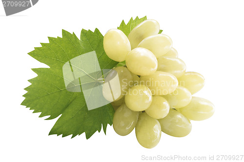 Image of Ripe grapes with leaf