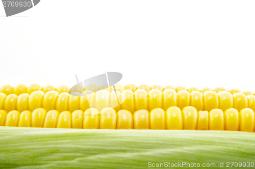 Image of Corn