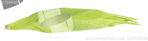 Image of Corn