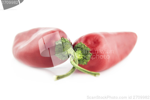 Image of hot chili pepper