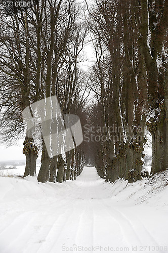 Image of Pathway at winter