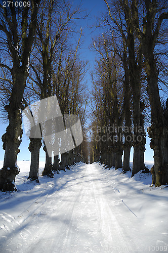 Image of Pathway at winter