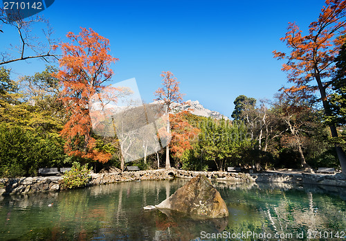 Image of Lake in the park