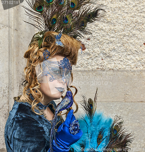 Image of Complex Venetian Disguise