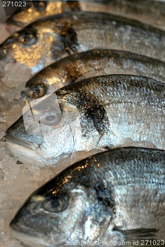 Image of Fresh fish