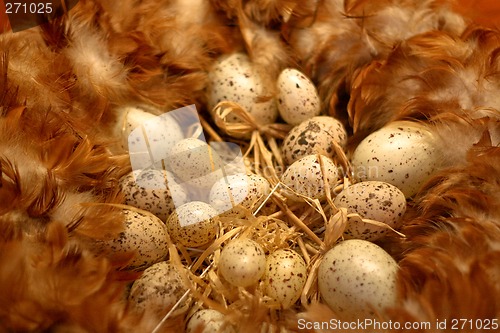 Image of Nest
