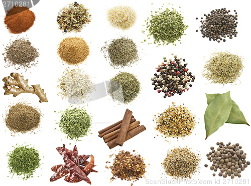 Image of Spices Collection