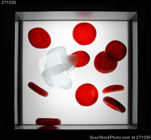 Image of Blood cell