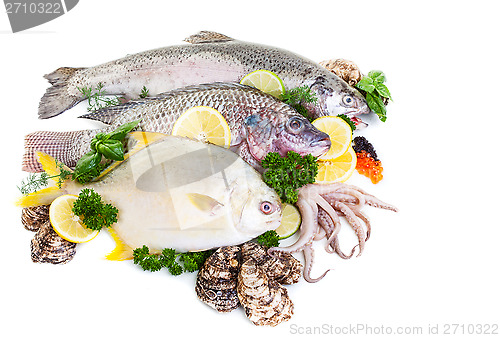 Image of Mixed Fresh Fish