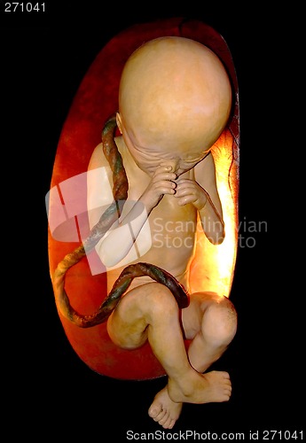 Image of Unborn dummy