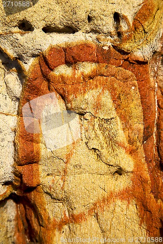 Image of rock abstract  lichens 