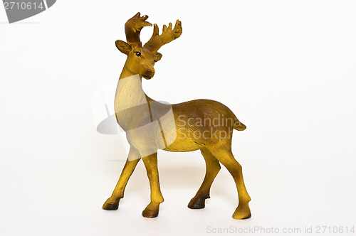 Image of Reindeer