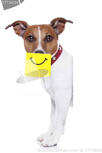 Image of yellow not dog 