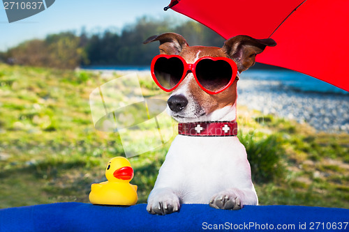 Image of summer dog under umbrella