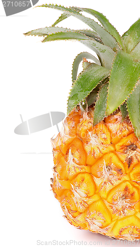 Image of Pineapple