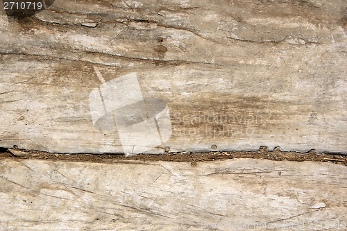 Image of old texture of wood