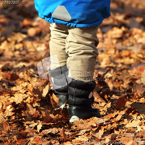 Image of boy walking amongst faded leaves