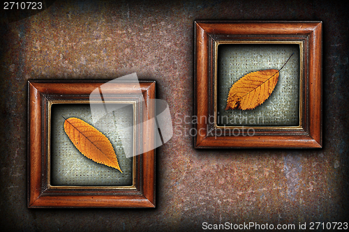 Image of display of autumn symbols