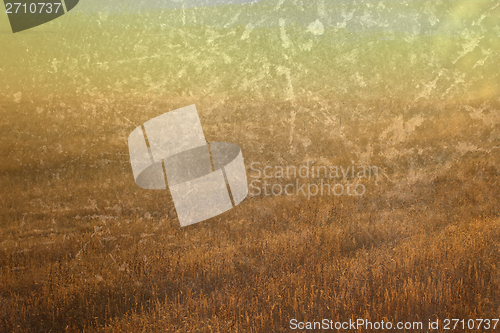 Image of abstract field with grungy finish