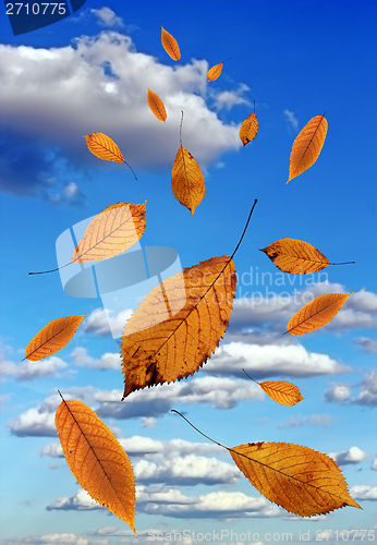 Image of falling leaves over blue sky