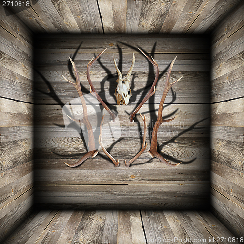 Image of hunting trophies on wooden room