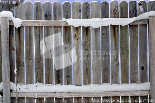 Image of Old Snowy Fence