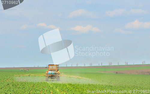 Image of Tractor fertilizes crops in the field